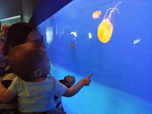 Mom and Corbin checking out the Jellies