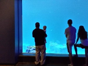 Corbin has a whole aquarium to look at but instead he looks at Mom